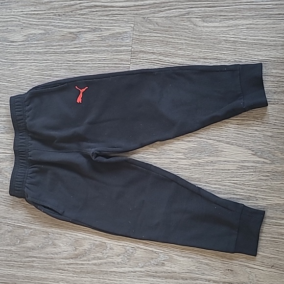 Puma - Picture 2 of 4